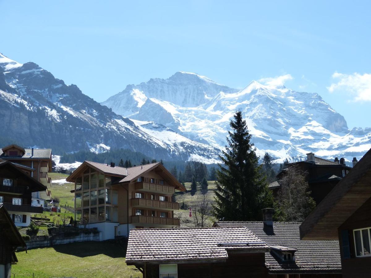Chalet Bella Vista 4 Wengen Esterno foto